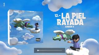 La Piel Rayada Music Video
