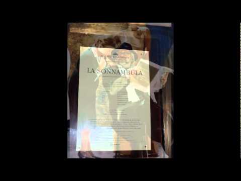 Bellini La Sonnambula - " Vi ravviso, o luoghi ameni"  - Dan Paul Dumitrescu