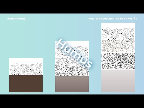 Bodenkunde verstehen – Humus und Humusformen