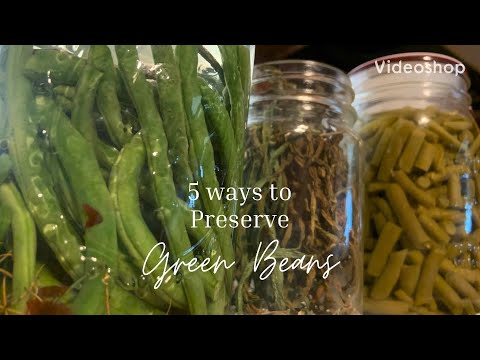 5 Easy Ways to Preserve your Green Bean Harvest!