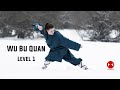 Wu Bu Quan | Five Step Fist | Shaolin Wu BU Quan | Kung Fu | UK Shaolin