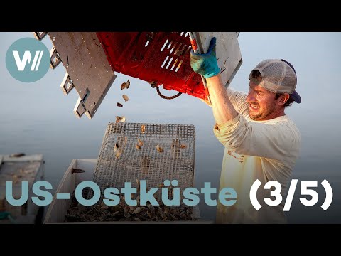 Big Apple und das Meer | Die US-Ostküste (3/5)
