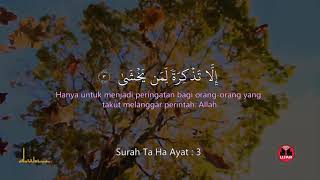 Download lagu Bacaan Ayat Pelembut Hati bagi Suami / Isteri / Anak mp3 Download lagu Bacaan Ayat Pelembut Hati bagi Suami / Isteri / Anak mp3
