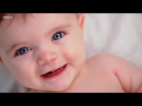 Planet Schule: Gen-Ethik · total phänomenal 15.12.2022