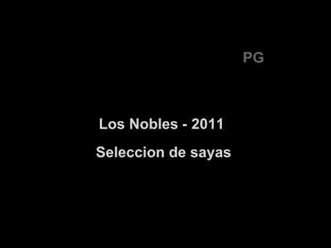 nobles seleccion de sayas