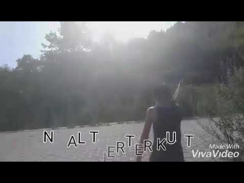 humore qesharake 2019