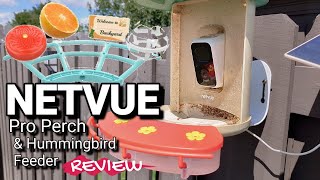 NETVUE Birdfy Pro Perch & Hummee Hummingbird Feeder Attachment REVIEW