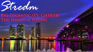 Big Gigantic (ft. Cherub) - The Night is Young
