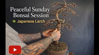 You Won’t Believe This Larch Transformation!