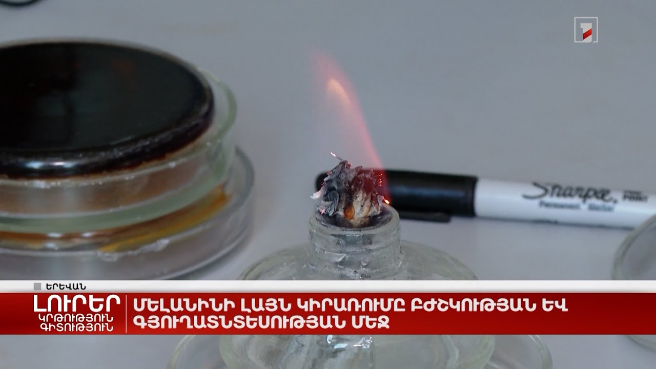 Մելանինի լայն կիրառումը բժշկության և գյուղատնտեսության մեջ