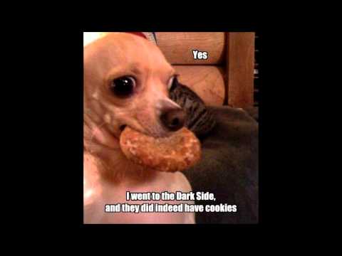 Dirtyloud & Alex Mind - Dirtymind (Belzebass Remix)