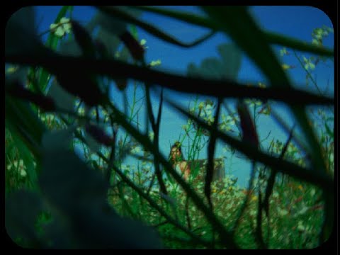 RUGGINE - Mace, Chiello, Coez (Unofficial Video by ARIAINTESTA + JEIN)