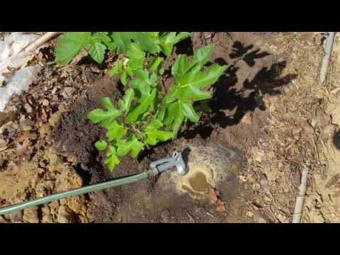 It's worth to improve soil