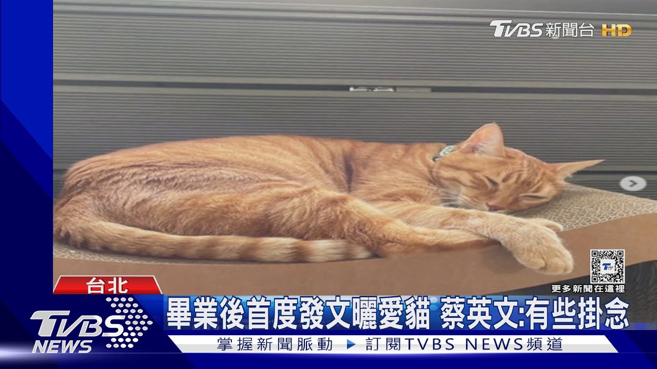 畢業後首度發文曬愛貓 蔡英文:有些掛念