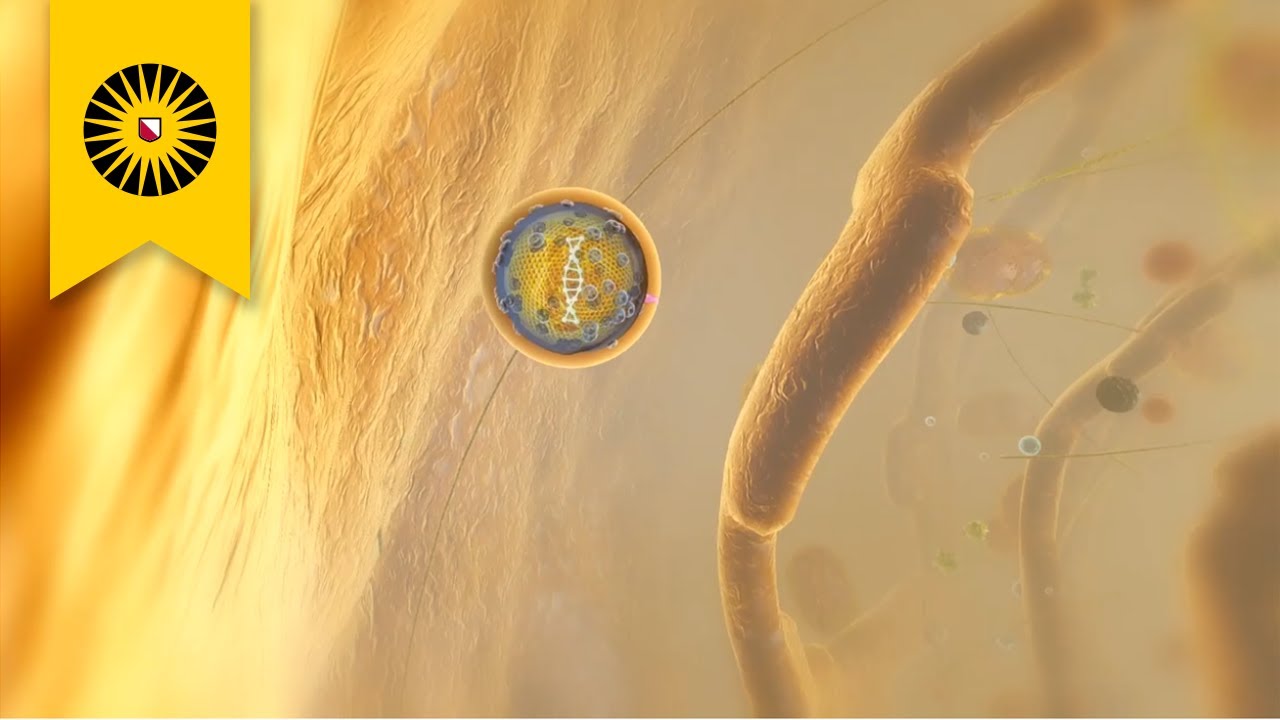 The Magic Bullet: the challenging search for the holy grail of gene therapy