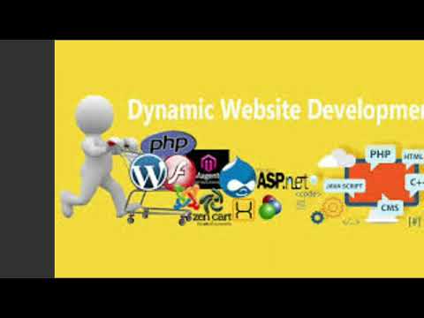 Php/javascript dynamic website designing services, with 24*7...