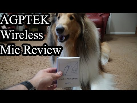 AGPTEK Wireless Microphone Review!