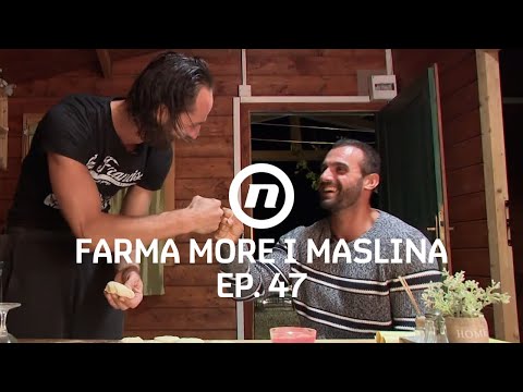 Vrijeme je za špijunažu i pljačku - Epizoda 47 | Farma More i Maslina