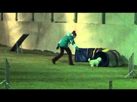 Agility trénink s Luckou Šebkovou