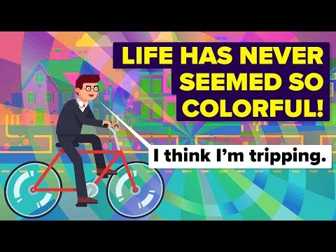 What Happens to Your Brain When You're High?