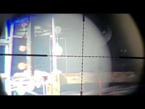 Gamo Arrow .177🎯 1st look🥶