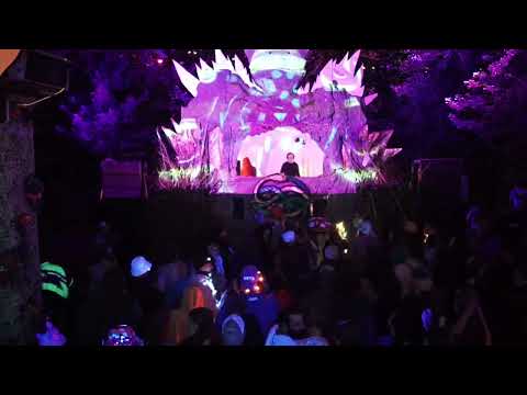 Contrapunctus Live Set @ Timeless Festival Canada 2025