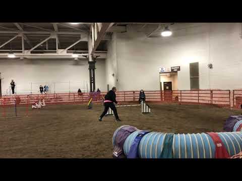 Koke EX JWW Springfield 10/16