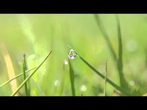 Relaxing Music - "Water Drop" Video