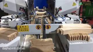 MÁY PHAY MỘNG CNC 2 ĐẦU LIÊN TỤC WM-D200CNC