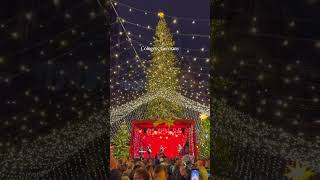 🎄 Europe’s Most Magical Christmas Markets #travel2025 #christmas #wanderlust #europetravel