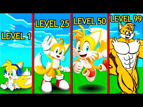 TAİLS SEVİYELERİ - 😨 Minecraft maksi