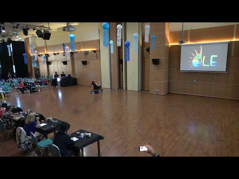 WHEELCHAIR ELECTRIC DANCE 3