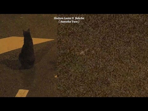 ( Aunseka Tara - Shallum Lama X Bekcha ) Track Song With Lyrics