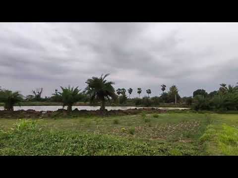 Village nature view 😀.