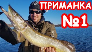Почему сегодня щука не клевала