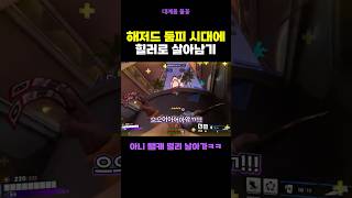 해저드 둠피 시대에 힐러로 살아남기