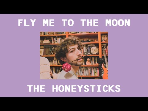 The Honeysticks - Fly Me To The Moon (frank sinatra cover)