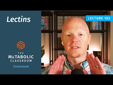 102: How Lectins Disrupt Insulin, Gut Health, and Immunity with Dr. Ben Bikman