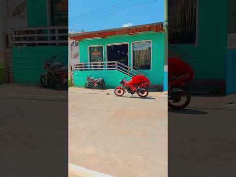 município de anamã Amazonas