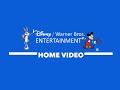 Disney Warner Bros Entertainment Home Video 1984 1991 Logo