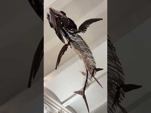 This prehistoric fish swallowed other fish whole #fossil #naturalhistory #science