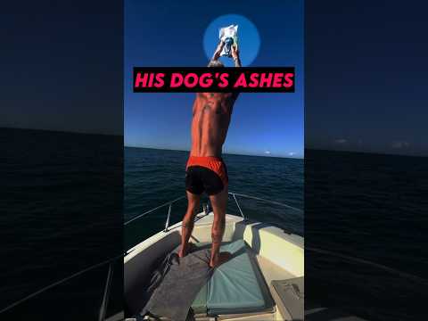 One last swim with his dog ❤️