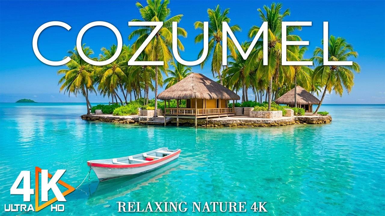 Cozumel 4K Drone Footage | Coral Reefs, Turquoise Waters & Tropical Island Paradise