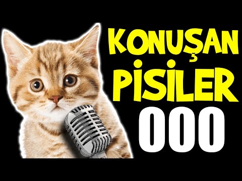 Konuşan Pisiler 000 - En Komik Kedi Videoları