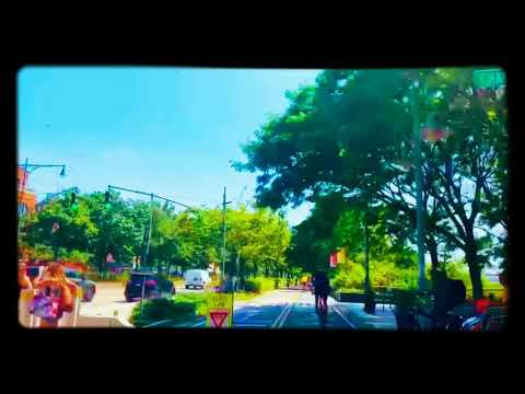 Bonjour - Roman Kouder & Marion Hill