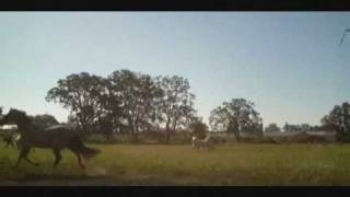 &quot;Silly Pretty Little Thing&quot;