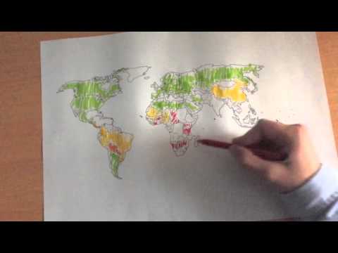 El mapa del hambre en el mundo