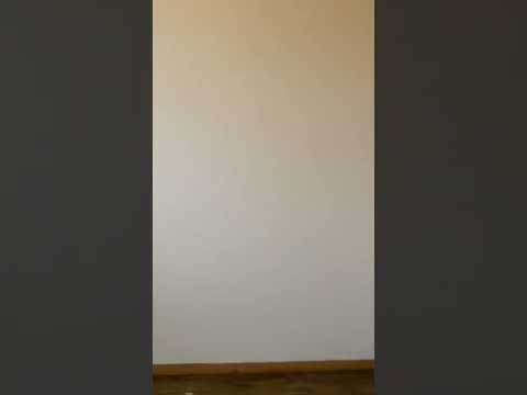 9727-29 W Reichert Pl - Video 2 of 2