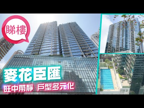 麦花臣汇 Youtube Video