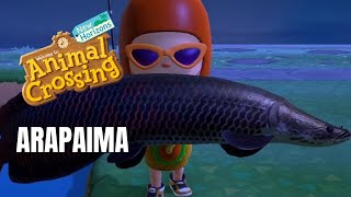 Animal Crossing: New Horizons: How To Catch An ARAPAIMA (Bells, Location, Time)